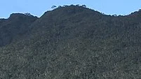 Mt. Hamiguitan