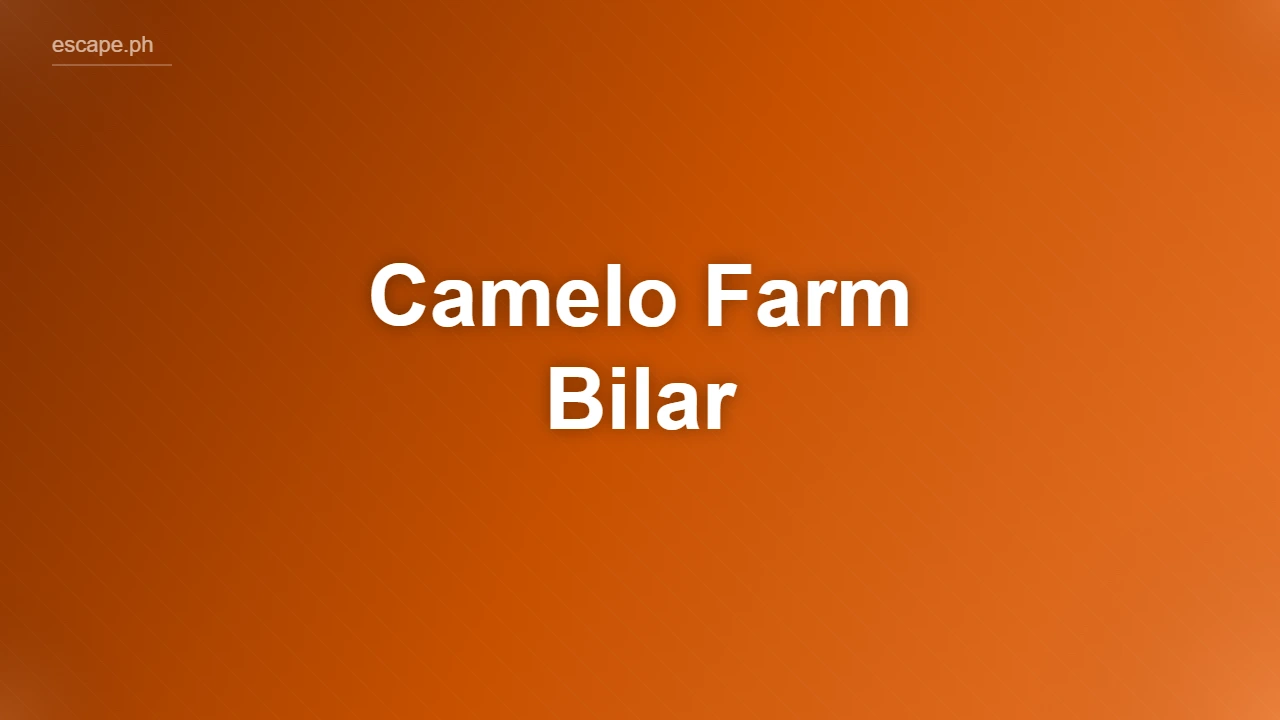 Camelo Farm Bilar